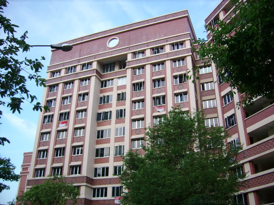 Blk 497A Tampines Street 45 (Tampines), HDB Executive #102942